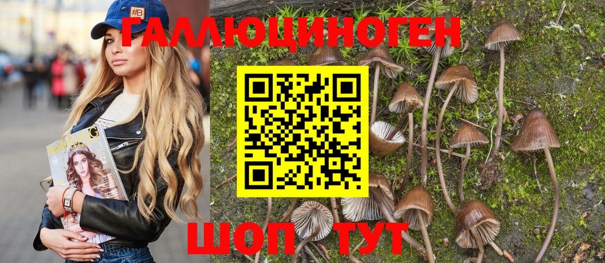 Сальск  Галлюциногенные грибы Psilocybine cubensis  Псилоцибиновые грибы мухоморы  Вход с VPN 
